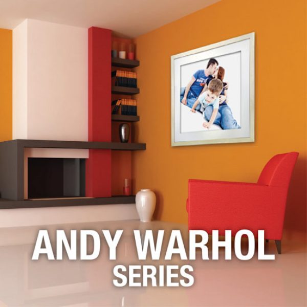 Andy Warhol Series
