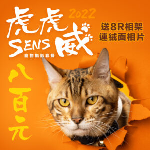 SENS Pet 「虎虎SENS威」 寵物攝影套餐